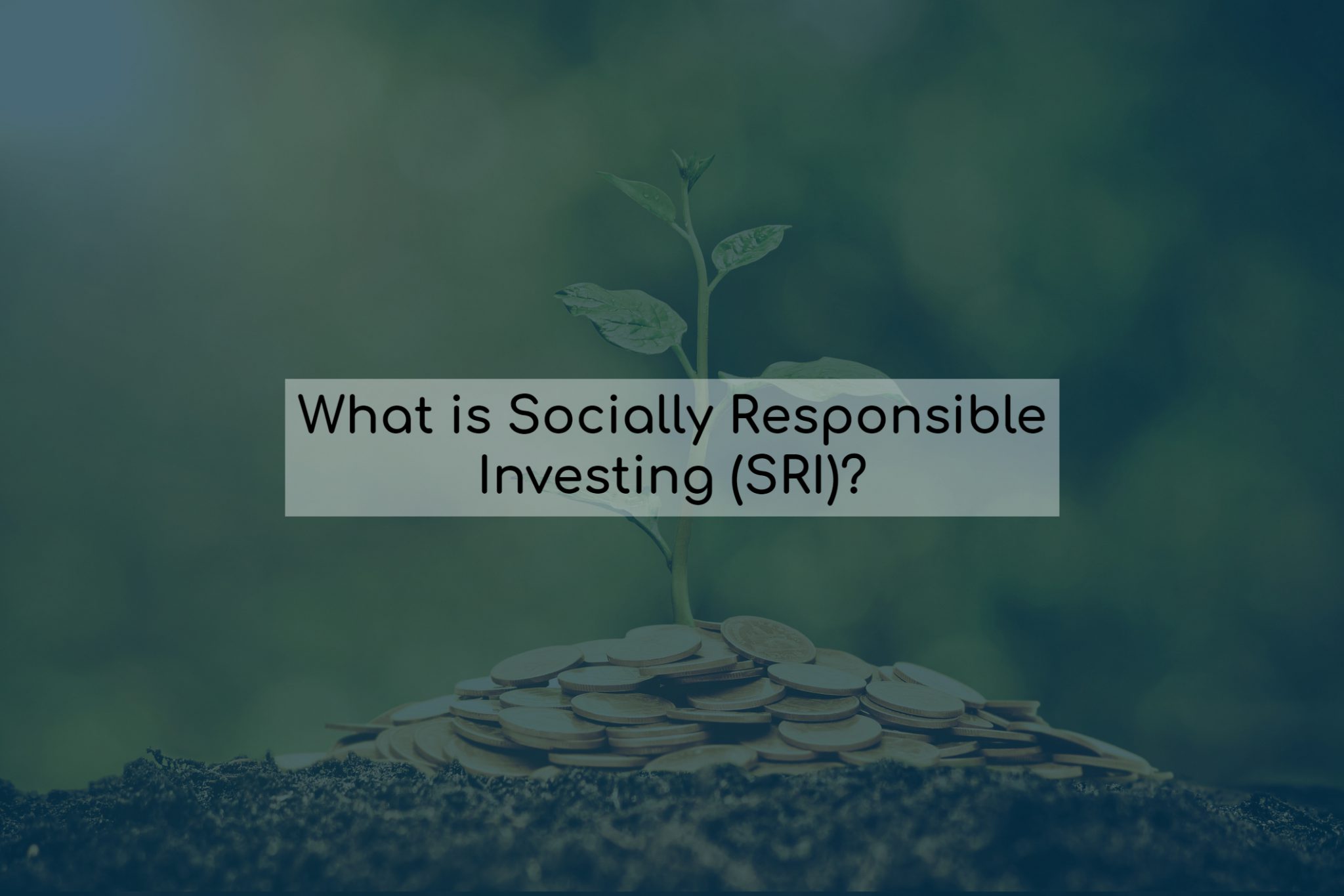 What Is Socially Responsible Investing (SRI)? - GoPeer